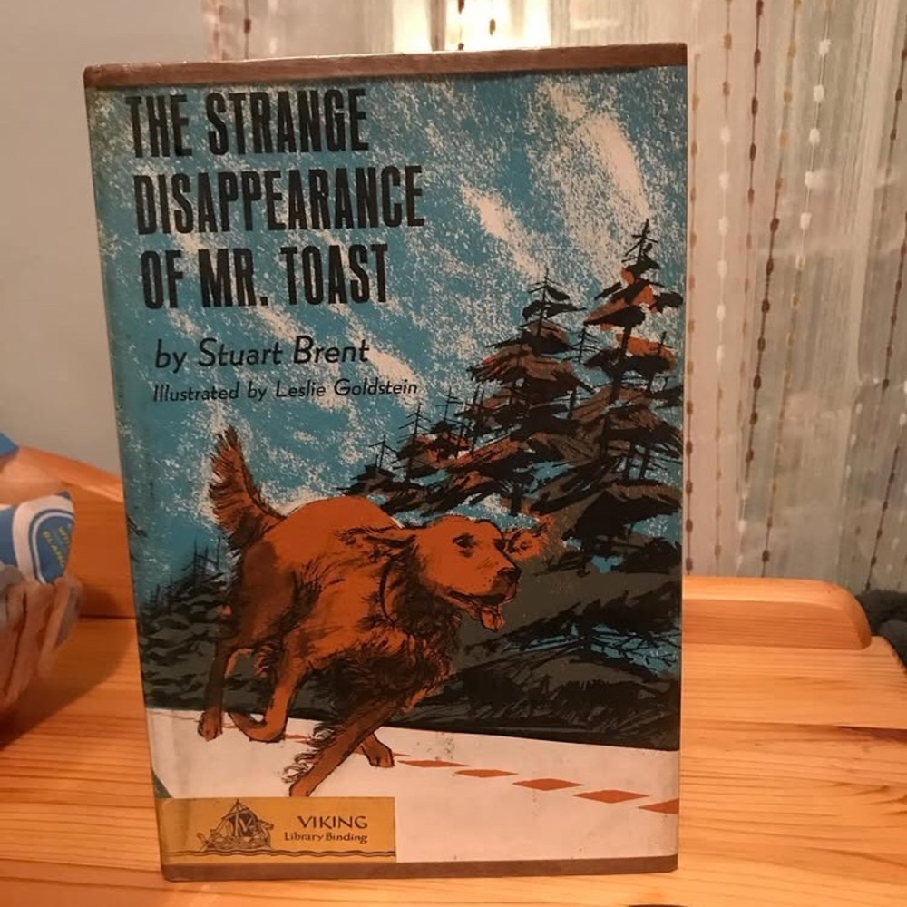 1964 The Strange Disappearance of M R. T O A S T book